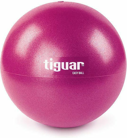 Tiguar Easyball Mini Μπάλα Pilates 23cm σε Ροζ Χρώμα