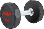 Amila Rubber Decagon Dumbbell 1 x 10kg