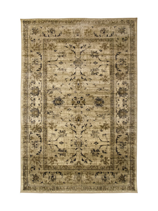 Ezzo 6299 Rug Rectangular Beige 15-6299AHY-B