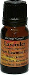 Ancient Wisdom Essential Oil Lavender 10ml