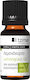 Tzimas Cosmetics Ätherisches Öl Zitronengras 10ml