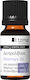 Tzimas Cosmetics Essential Oil Rosemary 10ml