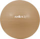 Amila Pilates Ball 65cm 1.35kg Gold