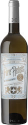 Astir X Winey Fare Rebels Weiß Trocken 750ml