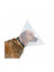 Trixie Protective Dog Collar in Transparent color Large/Extra Large Large / XLarge 2pcs