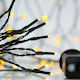 300 Weihnachtslichter LED 14.95für eine E-Commerce-Website in der Kategorie 'Weihnachtsbeleuchtung'. Warmes Weiß Elektrisch vom Typ Zeichenfolge mit Grünes Kabel und Programmen Eurolamp