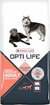 Versele Laga Opti Life Skin Care Medium & Maxi 1kg Ξηρά Τροφή χωρίς Σιτηρά & Γλουτένη για Ενήλικους Σκύλους Μεσαίων & Μεγαλόσωμων Φυλών με Ρύζι και Σολομό