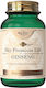 Sky Premium Life Ginseng 60 Kapseln Unflavored