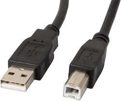 Lanberg USBA11CC USB 2.0 USB-A male σε USB-B male