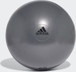 Adidas Μπάλα Pilates 65cm