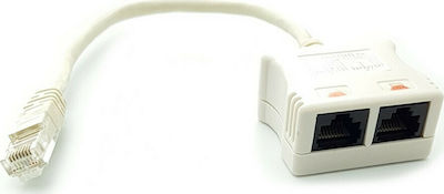 Powertech RJ45 male Cat5e to 2x RJ45 female 0.2m