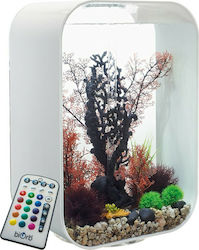 Oase BiOrb Life 60 MCR 60 Liter Oase BiOrb Life 60 MCR 60 Liter