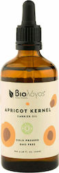 Viologos Aprikosenöl 100ml