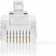 Nedis Plug RJ-45 male 10pcs Transparent (CCGP89300TP)