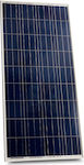 Victron Energy BlueSolar Polycrystalline Solar Panel 115W 12V 1015x668x30mm