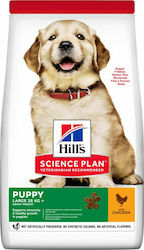 Hill's Science Plan Healthy Development Puppy Large 2.5kg Dry Food for Puppies of Large Breeds with Chicken