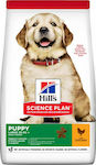 Hill's Science Plan Healthy Development Puppy Large 2.5kg Ξηρά Τροφή για Κουτάβια Μεγαλόσωμων Φυλών με Κοτόπουλο