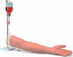 3b Scientific Manechin De Formare Interactivă Și CPR P50 3b Scientific Manechin De Formare Interactivă Și CPR P50