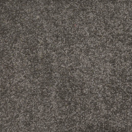Cosmofloor Kings Βελουτέ (τιμή ανά μέτρο)