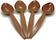 Saz Musical Spoons Plastics