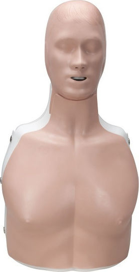 3b Scientific CPR Basic Billy Interaktives Training & CPR
