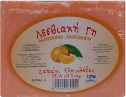 Λεσβιακή Γη Σαπούνι Ελαιόλαδου 2x100gr
