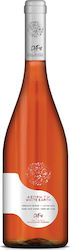 DAF Wines Άσπρη Γη Λeuco Tip 750ml DAF Wines Άσπρη Γη Λeuco Tip 750ml