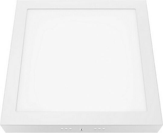 Aca Platz Draußen LED Panel 24W mit Natürliches Weiß Licht 4000K