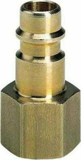 Einhell 4139640 Ρακόρ Θηλυκό R1/4"
