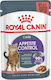 Royal Canin Care Appetite Control Храна за мокри котешки хранилки за възрастни кастрирани котки с Чантичка Сос 85гр 1бр 2631010