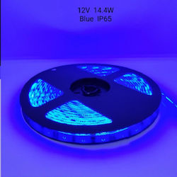 Водоустойчива LED Лента 12V със Синьо Светлина 5м