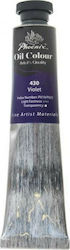 Phoenix Arts Oil Colour Seturi de Culori Ulei V...