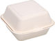Tessera Disposable Food Sugar Cane Box 15x15x4.5cm 125pcs