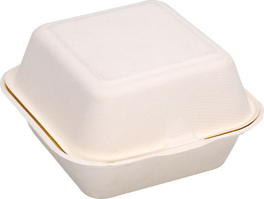 Tessera Disposable Food Sugar Cane Box 15x15x4.5cm 125pcs