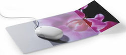 Durable 1655747 300mm Transparent