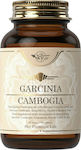 Sky Premium Life Garcinia Cambogia 60 ταμπλέτες