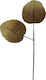 Espiel Artificial Decorative Branch Beige 95cm 1pcs