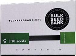 Bulk Seed Bank | 5 Auto Seeds