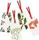 Christmas mistletoe Christmas cards