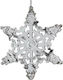 Lianos Christmas Plastic Snowflake Ornament Silver 12x12cm