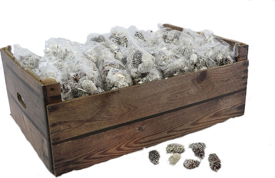 InTheBox Χριστουγεννιάτικο Декорация Pine Pinus