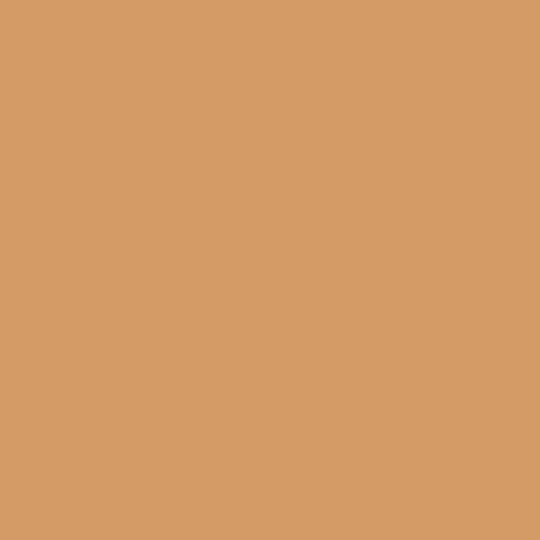 Canson Colorline Brown 105741032