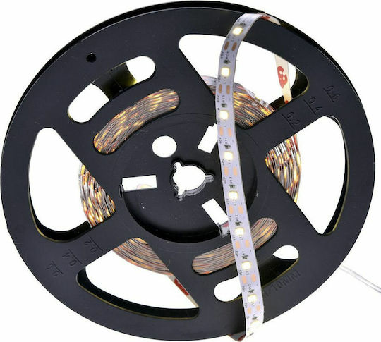 Iliadis LED-Streifen 12V Warmes Weiß Licht 5m