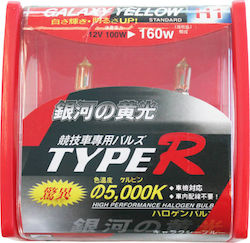 Type-R Λάμπες H1 Αλογόνου Ψυχρό Λευκό 2τμχ Type-R Λάμπες H1 Αλογόνου Ψυχρό Λευκό 2τμχ