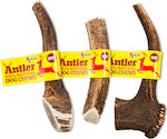 Antos Extra Large Horn for Dogs of Large Breeds from Deer 270gr