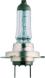 Hella Lamp H4 Halogen