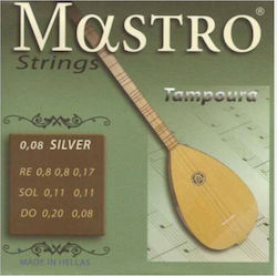 Mastro Set of Silver Plated Strings Silver Tamboura .008 - .020"