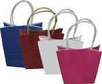 Paper Bag for Gift 25x12x33cm. (Various Colors/Designs) 11401210