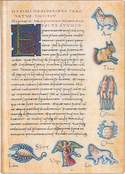 Paperblanks Astronomica Caiet A5 Cu dungi Multicolor