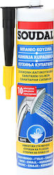 Soudal Χημικό Βύσμα Αντιμουχλικό 280ml
